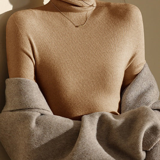 High Neck Slim Fit Ribbed Knit Top For Woman